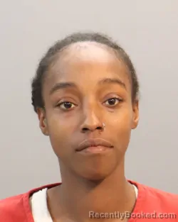 Mugshot of DE'TRIEDAH DOROTHEA WELSH