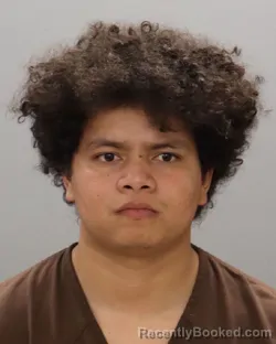 Mugshot of JESSY OWEN FLORES-BALDELOMAR