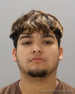 Mugshot of GUILLERMO HERNANDEZ-HERRERA