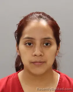 Mugshot of MARIA FERNANDO-TOMAS