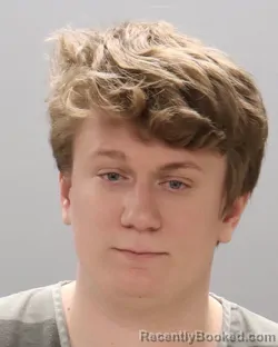 Mugshot of BRENT ROBERT MCLEROY