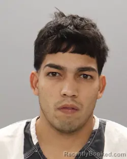 Mugshot of ANDERSON LEONEL GONZALEZ