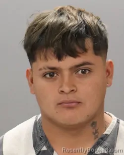 Mugshot of KEVIN JOSUE AVILES