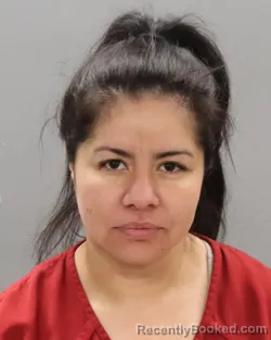 Mugshot of LENNY VELIZ-MARTINEZ