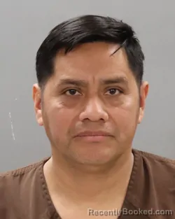 Mugshot of RENEE PIC-PILO