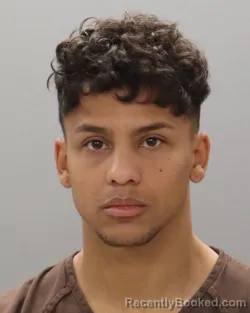 Mugshot of CRISTIANS LIENDO-APONTE