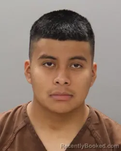 Mugshot of DANY SANCHEZ-LOPEZ
