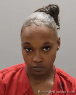 Mugshot of JOSEPHINE LINZEY