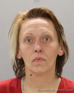 Mugshot of DANIELLE ASHLEY NIELSON