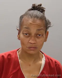 Mugshot of MEAGHAN ANNE STONE