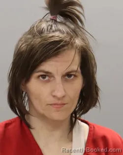 Mugshot of WHITNEY MANNIS