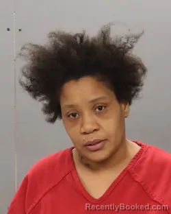 Mugshot of CLAUDIA ANNE PATRICK