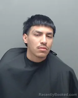 Mugshot of LUIS ANGEL HERNANDEZ