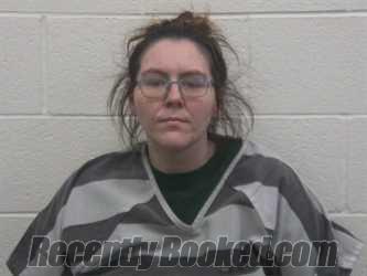 Booking photo from Loudon County, Tennessee