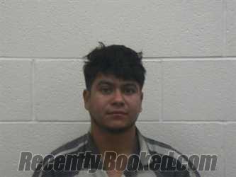 Booking photo from Loudon County, Tennessee