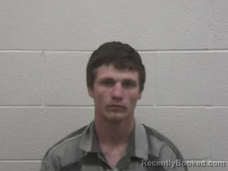 Booking photo from Loudon County, Tennessee