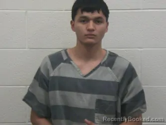 Mugshot of ANTHONY DAVID VASQUEZ ELVIR