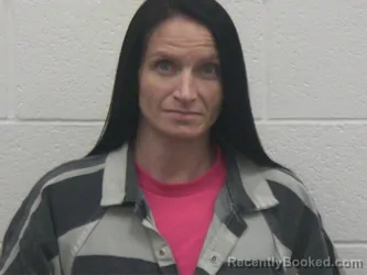 Booking photo from Loudon County, Tennessee