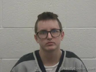 Mugshot of BRE'ANNA GAYLE RUNIONS