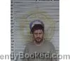 Booking photo from McMinn County, Tennessee