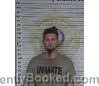 Mugshot of BRIAN PRESLEY