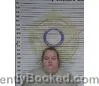 Booking photo from McMinn County, Tennessee