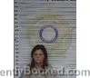 Booking photo from McMinn County, Tennessee