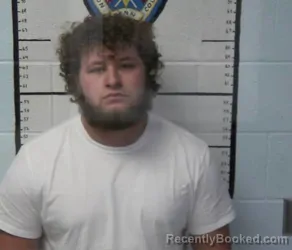 Mugshot of WYATT D PIPPIN