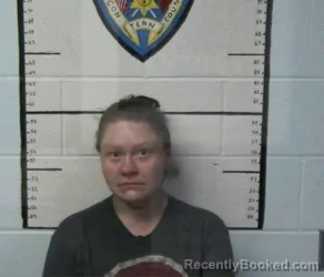 Mugshot of JESSICA LYNN DAVIS