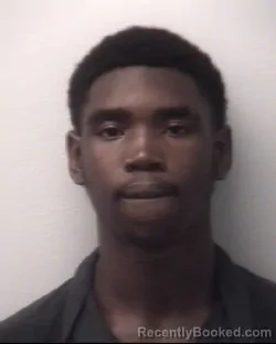 Mugshot of ROBERT LORENZO COOK