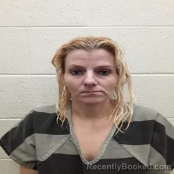 Booking photo from Monroe County, Tennessee