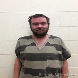 Booking photo from Monroe County, Tennessee