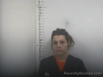 Booking photo from Putnam County, Tennessee