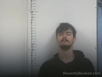 Mugshot of ZACHARY J BRASHEARS