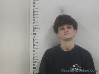 Mugshot of NEVAEH N FEINSTEIN