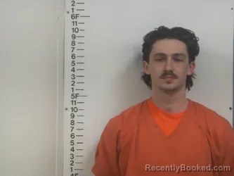 Mugshot of RYLAN L GUETTNER