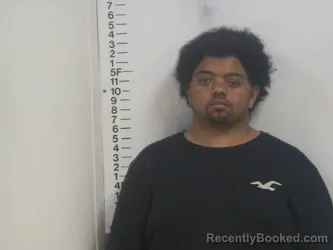 Mugshot of MICHAEL N MARTIN