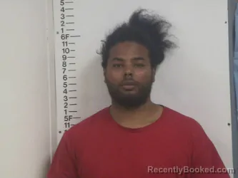 Mugshot of SHANIEL E REED