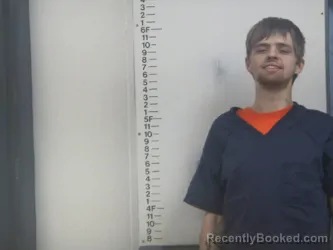 Mugshot of HARLEY L THOMPSON