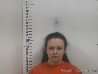 Mugshot of RACHEL J WILSON