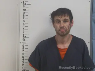 Mugshot of STEPHEN L WHITEHEAD