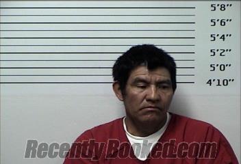 Booking photo from Rhea County, Tennessee