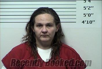 Booking photo from Rhea County, Tennessee