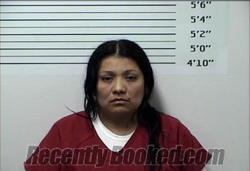 Booking photo from Rhea County, Tennessee