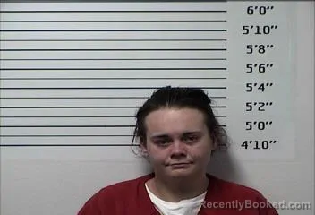 Booking photo from Rhea County, Tennessee