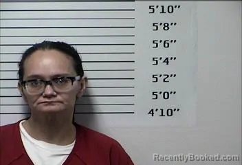 Booking photo from Rhea County, Tennessee