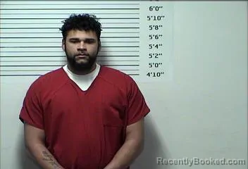 Booking photo from Rhea County, Tennessee