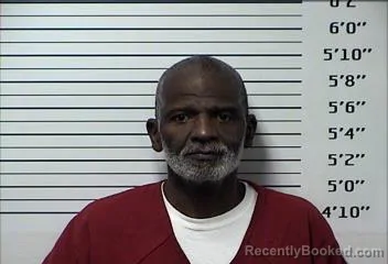 Booking photo from Rhea County, Tennessee