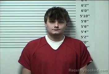 Mugshot of MICHAEL A YOUNG