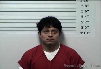 Mugshot of WILSON ALEXANDER GALICIA
